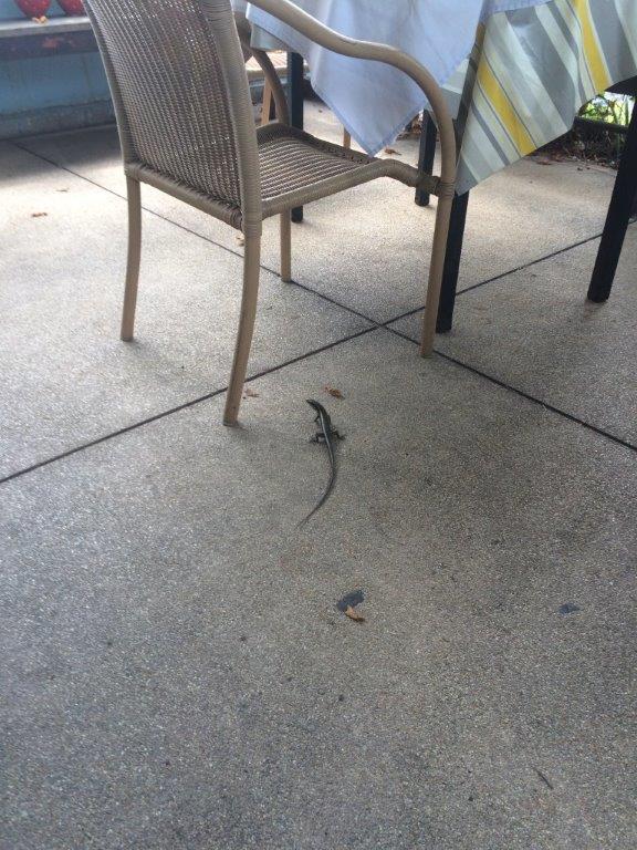 Ein Besucher Nett/Lecker